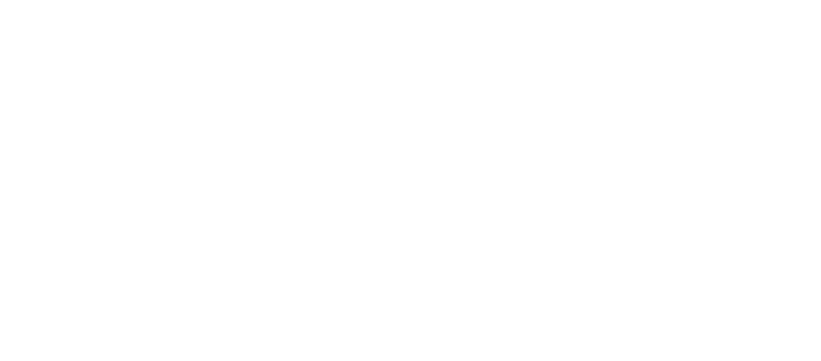 Berrak Turşuları