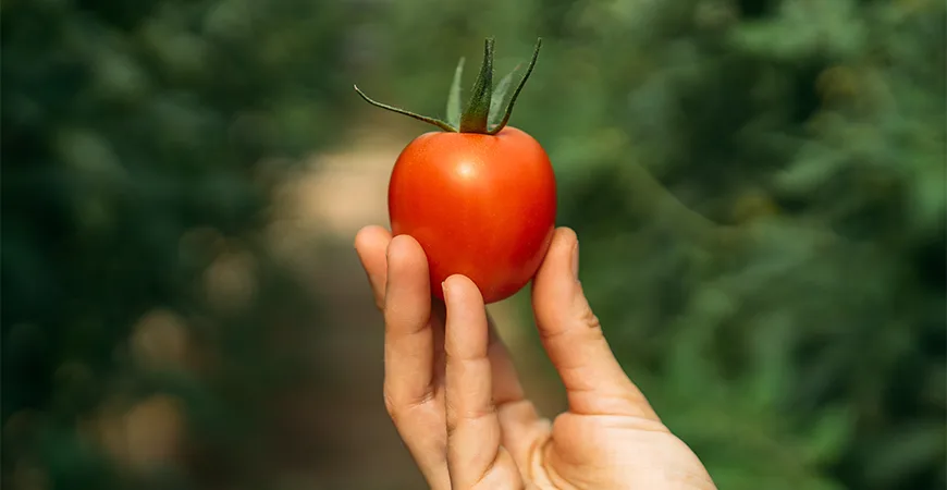 Doğanın izinde