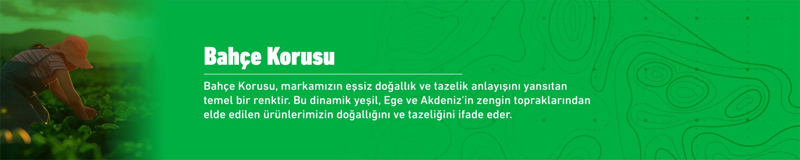 Bahçe Korusu
