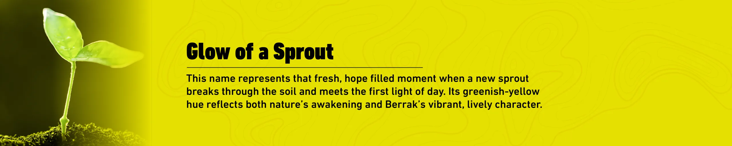 Glow of a Sprout