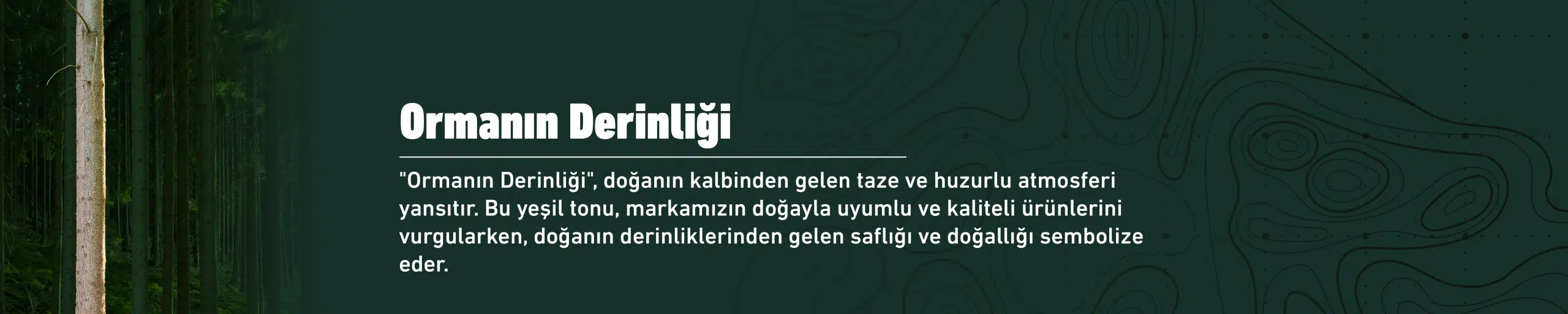 Ormanın Derinliği