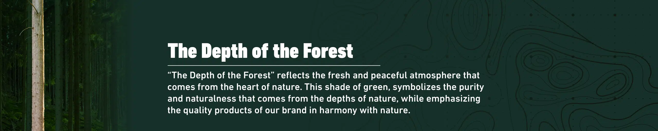 Depth of the Forest