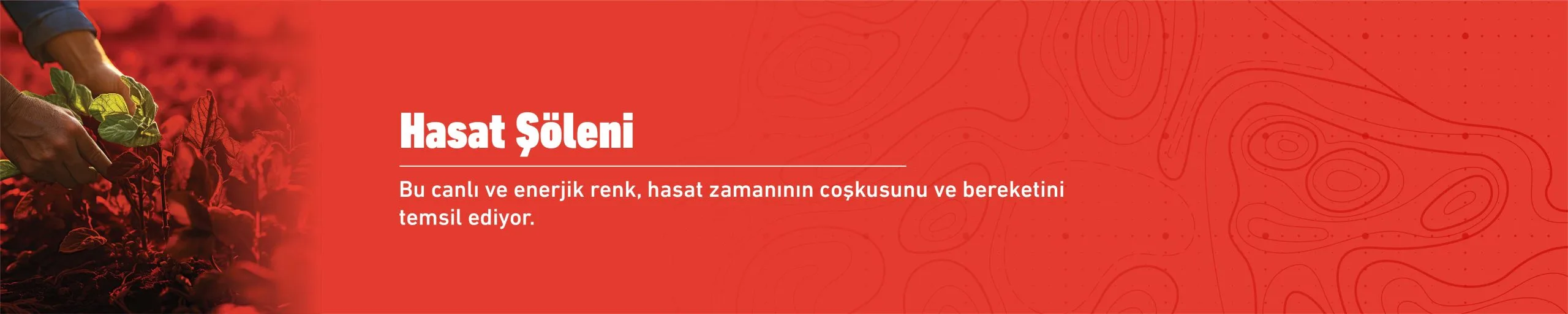 Hasat Şöleni