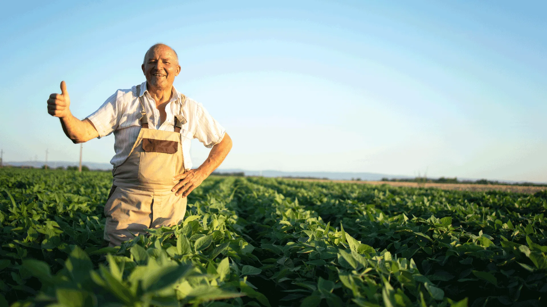 Local Farming and Berrak's Collaboration: A Sustainable Ecosystem